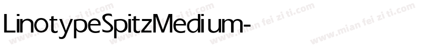 Linotype Spitz Medium字体转换
